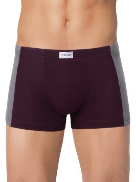 DIWARI BASIC MEN MSH 3119 Трусы мужские (хедер) MSH 3119 (хедер)
